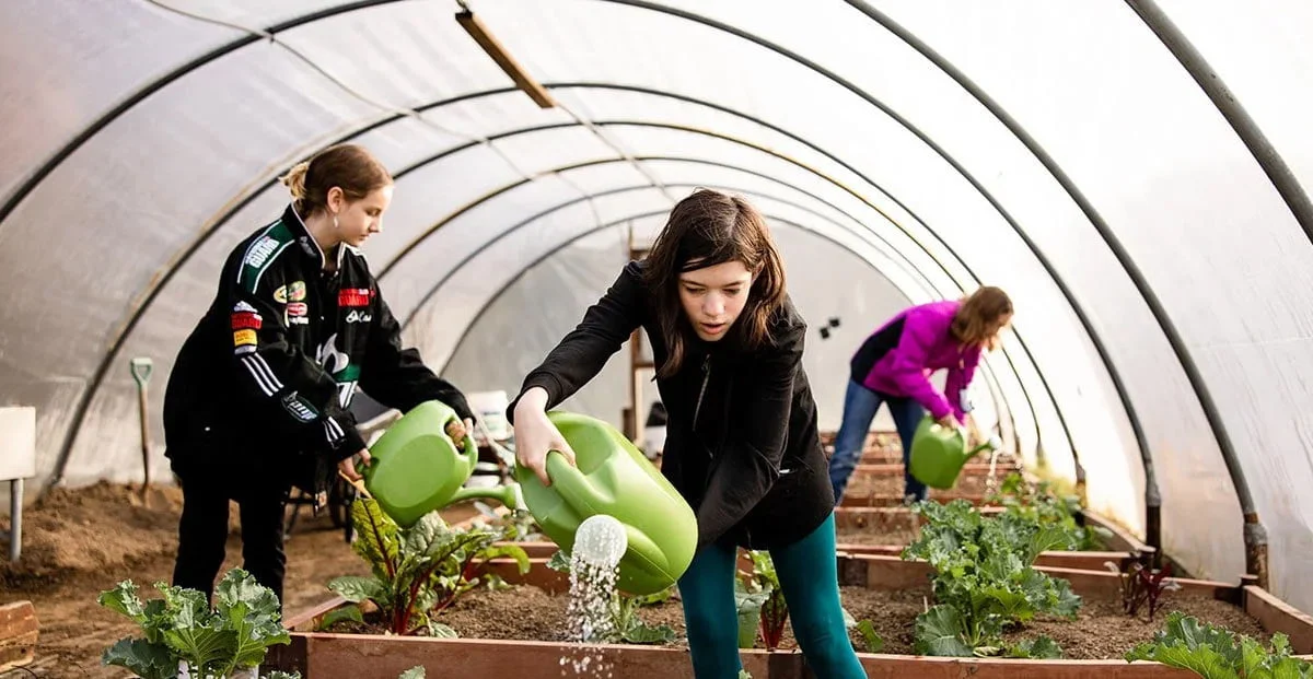 Teenagers work in a Montessori school.